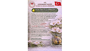 MEYVE ÜRETİCİLERİNE MONİLYA HASTALIĞI UYARISI!