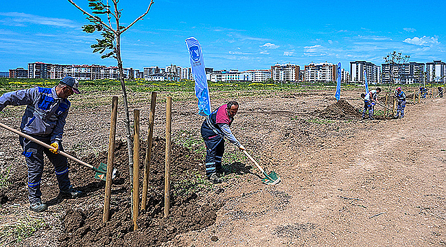 KENT PARK'TA AĞAÇLAR TOPRAKLA BULUŞTU