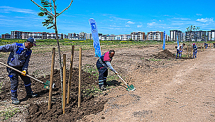 KENT PARK'TA AĞAÇLAR TOPRAKLA BULUŞTU