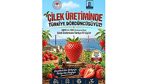 ÇİLEK ÜRETİMİNDE TÜRKİYE DÖRDÜNCÜSÜYÜZ