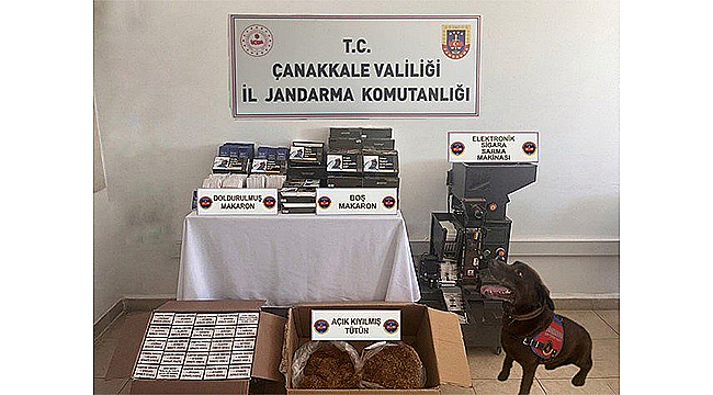  LAPSEKİ'DE KAÇAK TÜTÜN OPERASYONU: BİNLERCE MAKARON ELE GEÇİRİLDİ