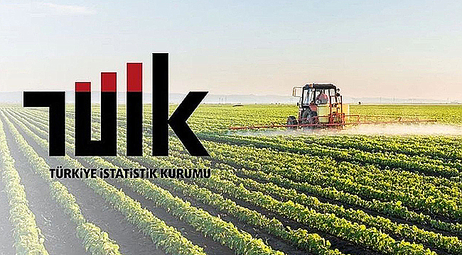  TARIM ÜRÜNLERİ ÜRETİCİ FİYATLARI YILLIK YÜZDE 43 ARTTI
