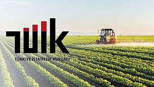 TARIM ÜRÜNLERİ ÜRETİCİ FİYATLARI YILLIK YÜZDE 43 ARTTI