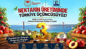 ÇANAKKALE, NEKTARİN ÜRETİMİNDE TÜRKİYE ÜÇÜNCÜSÜ