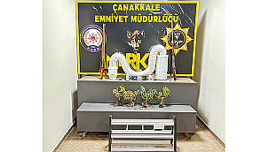 ÇANAKKALE'DE BİR HAFTADA 10 BİN 349 KİŞİ KONTROL EDİLDİ
