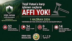 ORMAN YANGINLARI SORUŞTURMALARINDA 34 ŞÜPHELİ TESPİT EDİLDİ